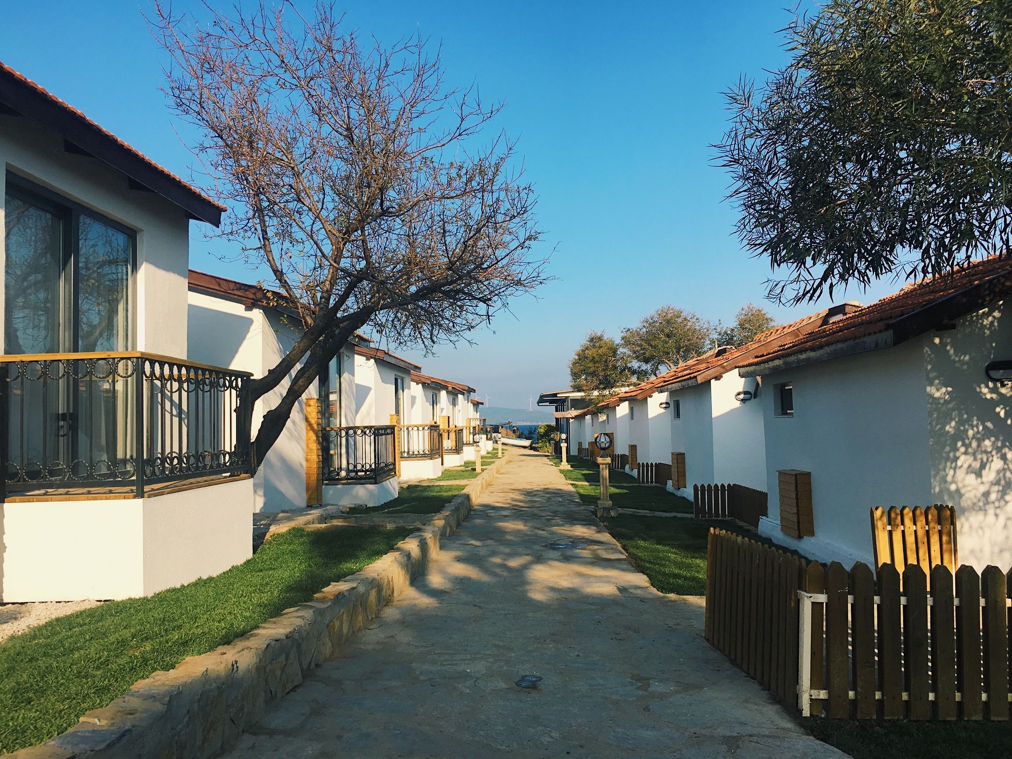 Maya Bistro Hotel & Beach Siğacık Exterior foto